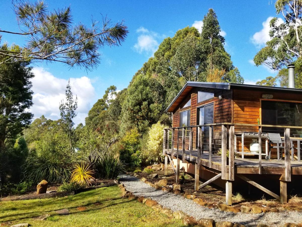 Southern Forest Accommodation Southport エクステリア 写真